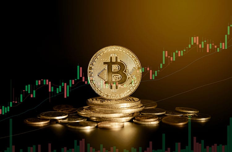 Bitcoin acima de US$ 20 mil e valorização no mercado. Dogecoin sobe 100% e altcoins somam lucros