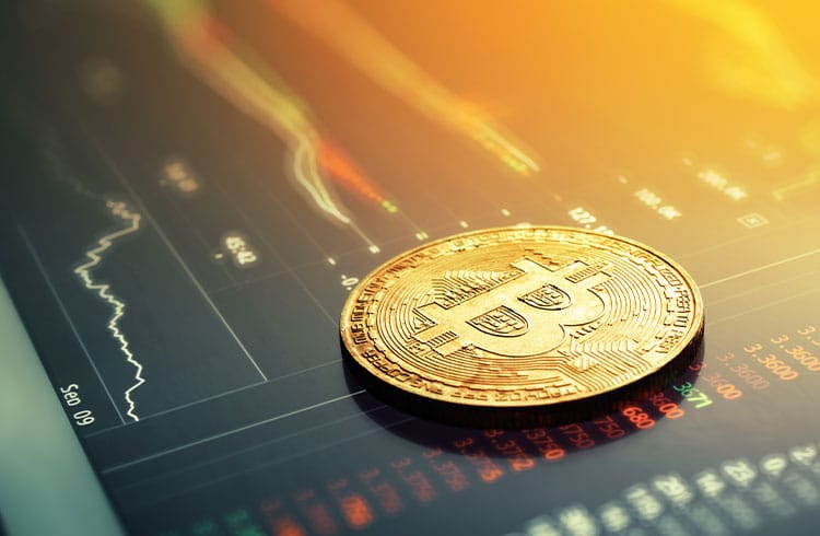 Bitcoin avança e mercado de criptomoedas sobe. ETH, SOL, DOGE, XRP, DOT e MATIC registrama lta de até 13%