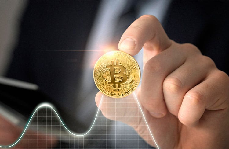 Le bitcoin monte à 20 500 $ et le memecoin grimpe de 12 % en 24 heures