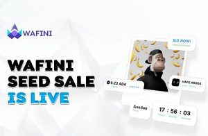 Já começaram as vendas dos tokens Wafini