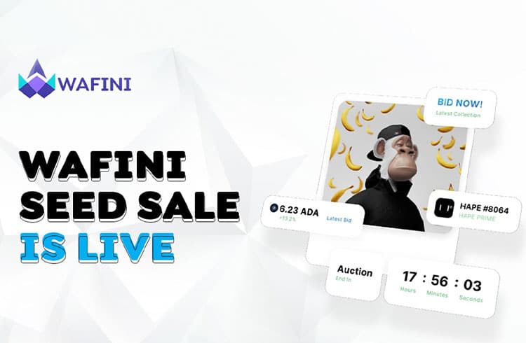 Já começaram as vendas dos tokens Wafini