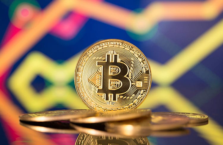 Bitcoin por US$ 20,5 mil e lucros de 130% em uma semana. Confira os altos e baixos do mercado para esta terça-feira (1)