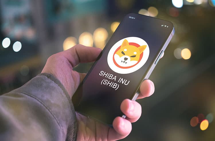 Hashdex inclui a Shiba Inu (SHIB) na composição de ativos negociados