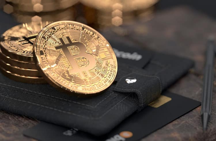 carteira de criptomoedas bitcoin