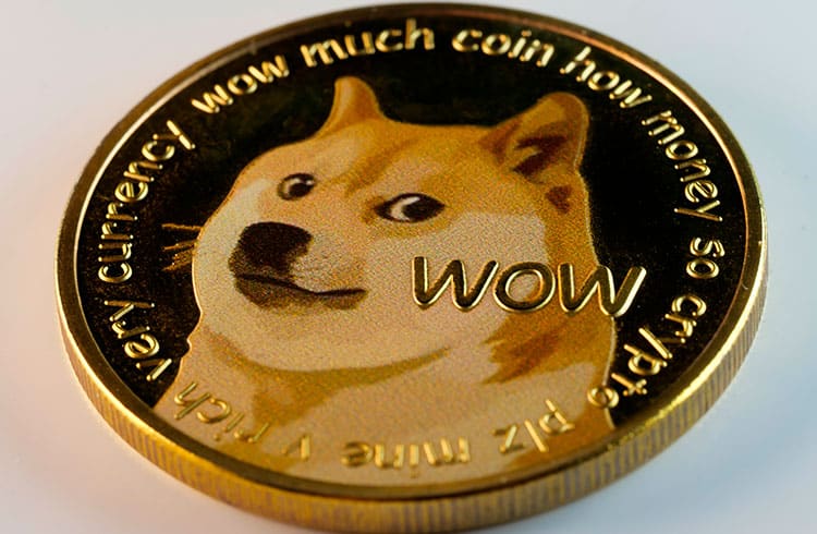 DOGE-dogecoin