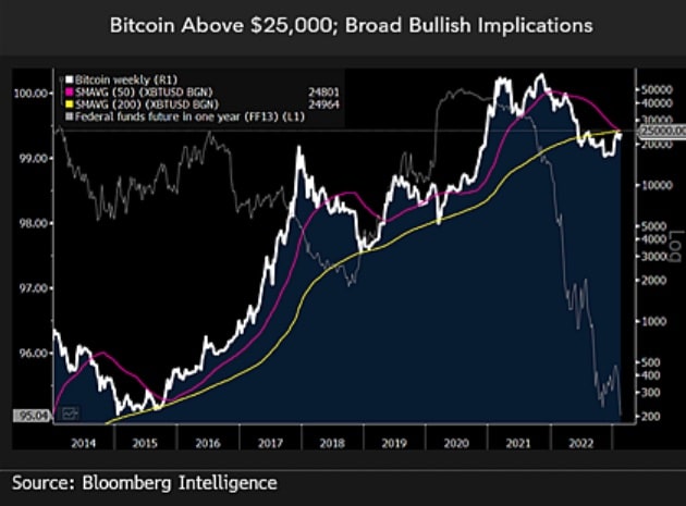 Os desafios do Bitcoin a US$ 25 mil. Fonte: Mike McGlone.