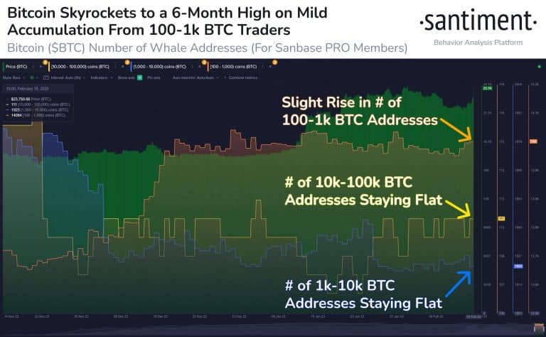 Acumulação do BTC por grandes investidores. Fonte: Santiment.