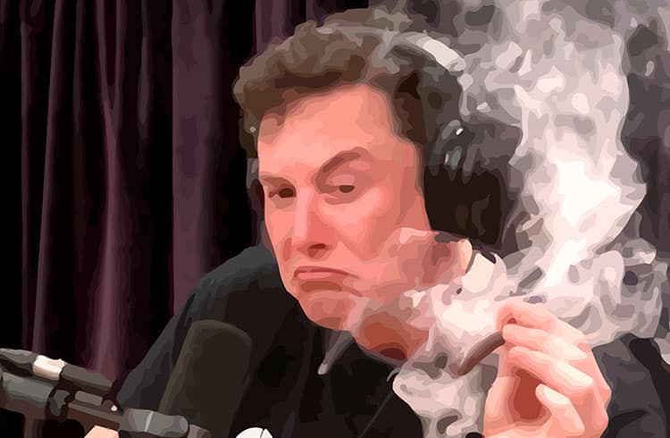 Elon Musk critica ChatGPT e diz que ele virou 'capacho' da Microsoft