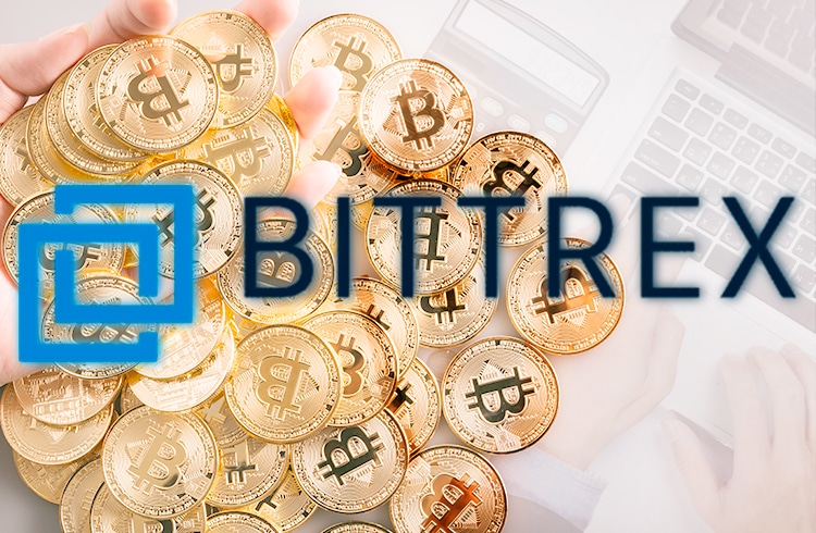 bittrex-emprestimo