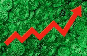 bitcoin-cash-sobe-100