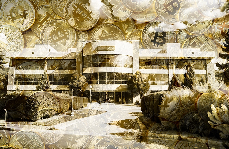intituicoea-acumula-bitcoin