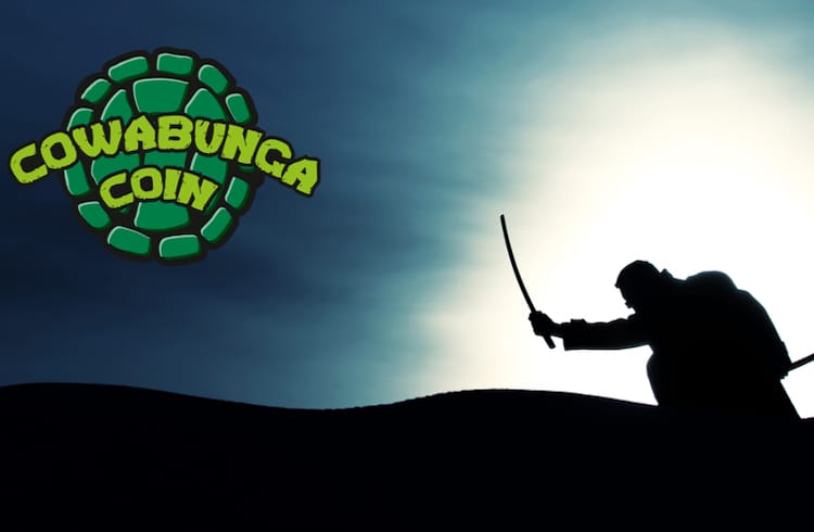 PR-Cowabunga-Coin