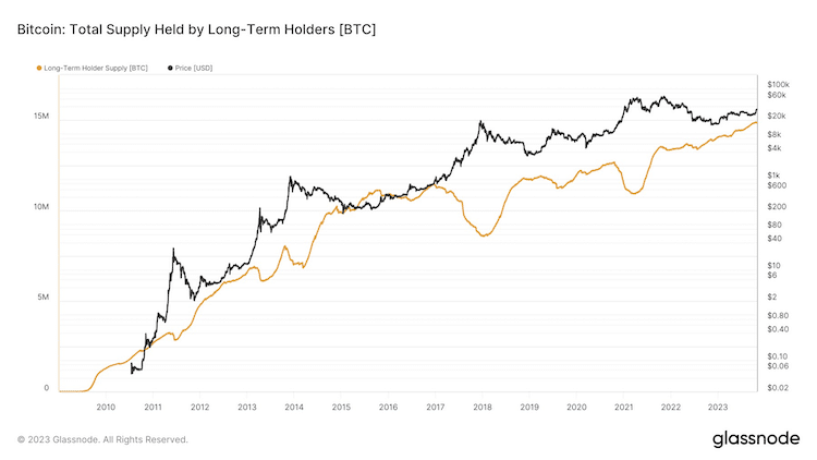 BTC-HOLDERS