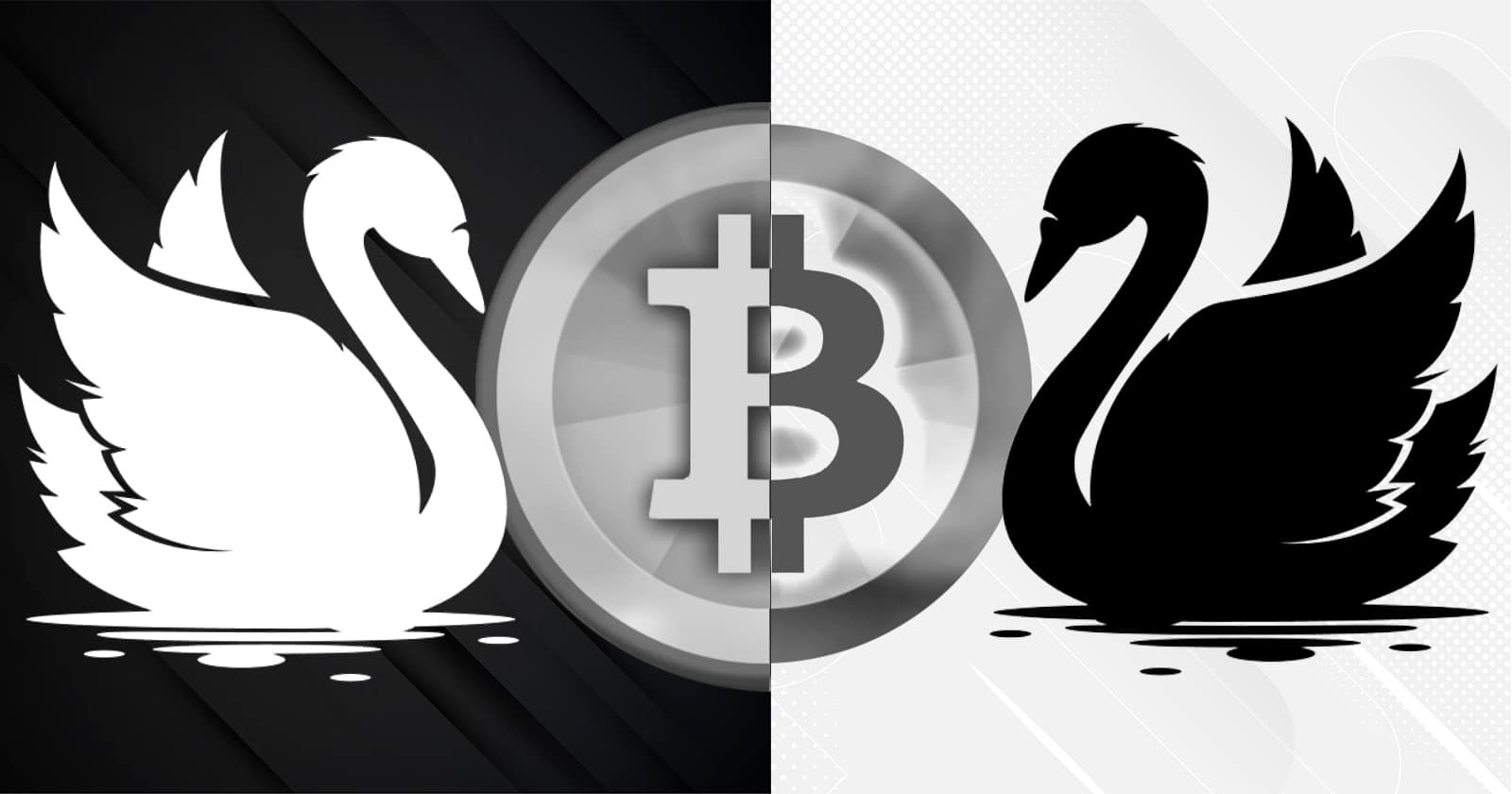 cancao-do-cisne-bitcoin