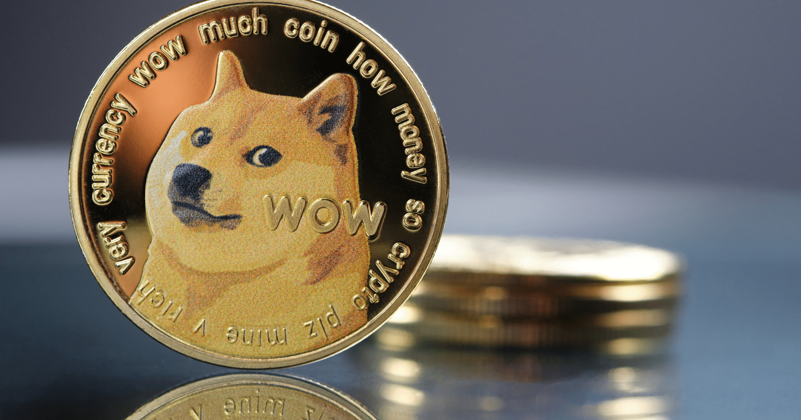 doge coin