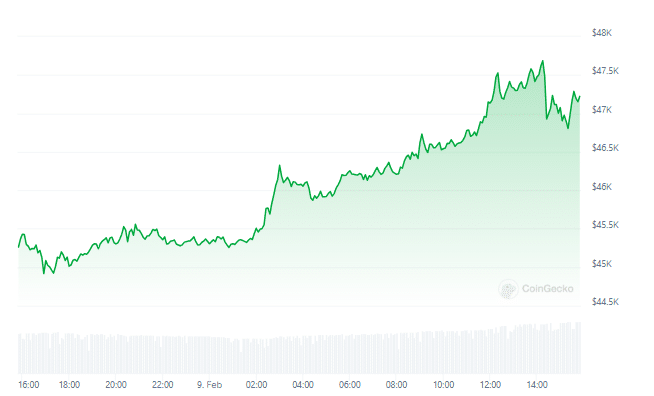 Gráfico de preço do Bitcoin nas últimas 24 horas - Fonte: CoinGecko