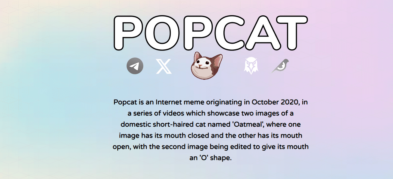 Print da página do projeto da memecoin Popcat