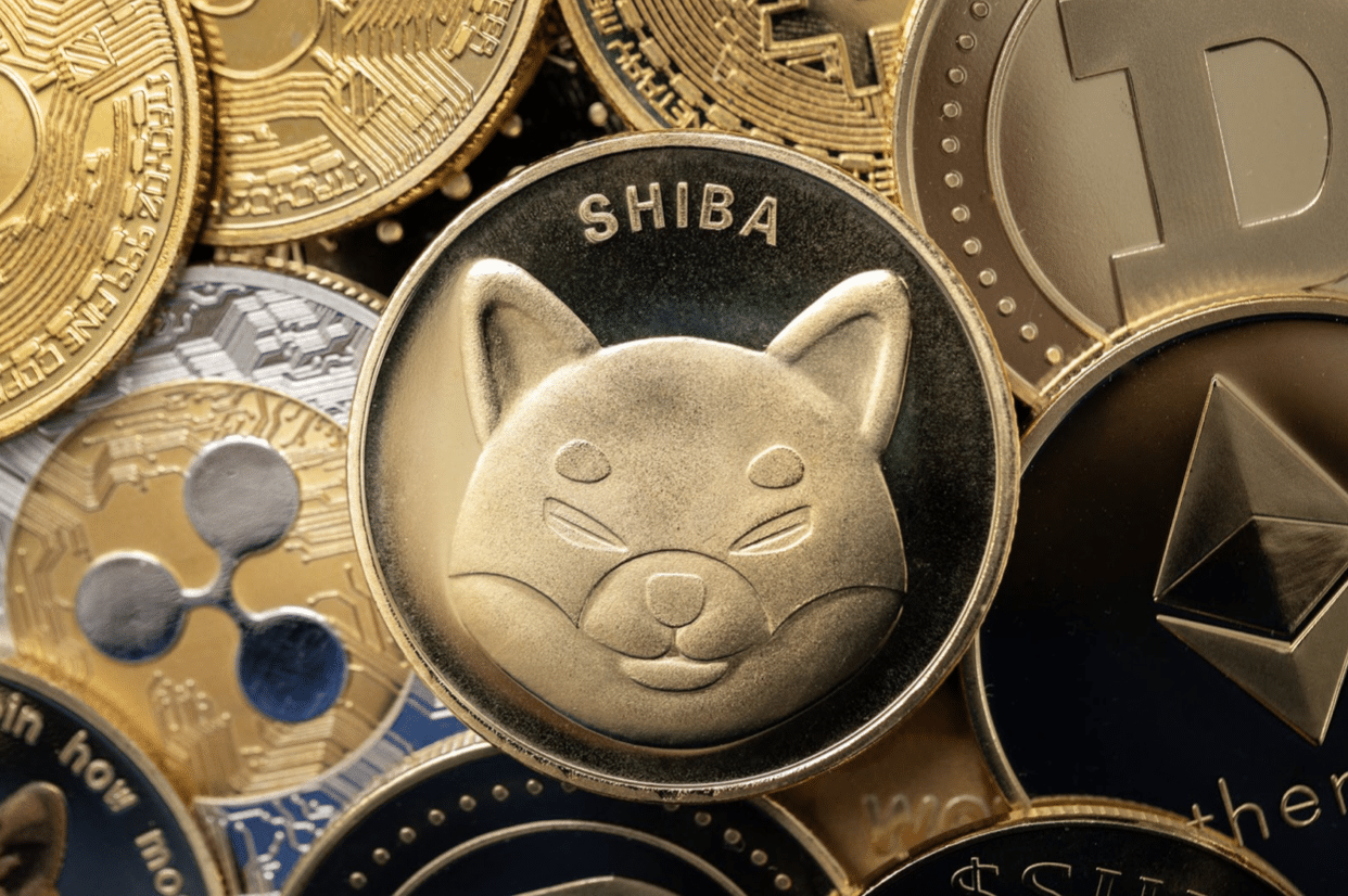 Rival do Shiba Inu (SHIB) pode ser a próxima meme coin a explodir
