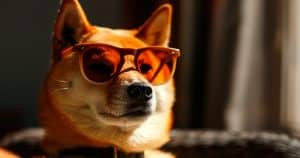 dog-em-alta
