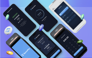 Empresas prontas para aceitar criptomoedas com SpacePay