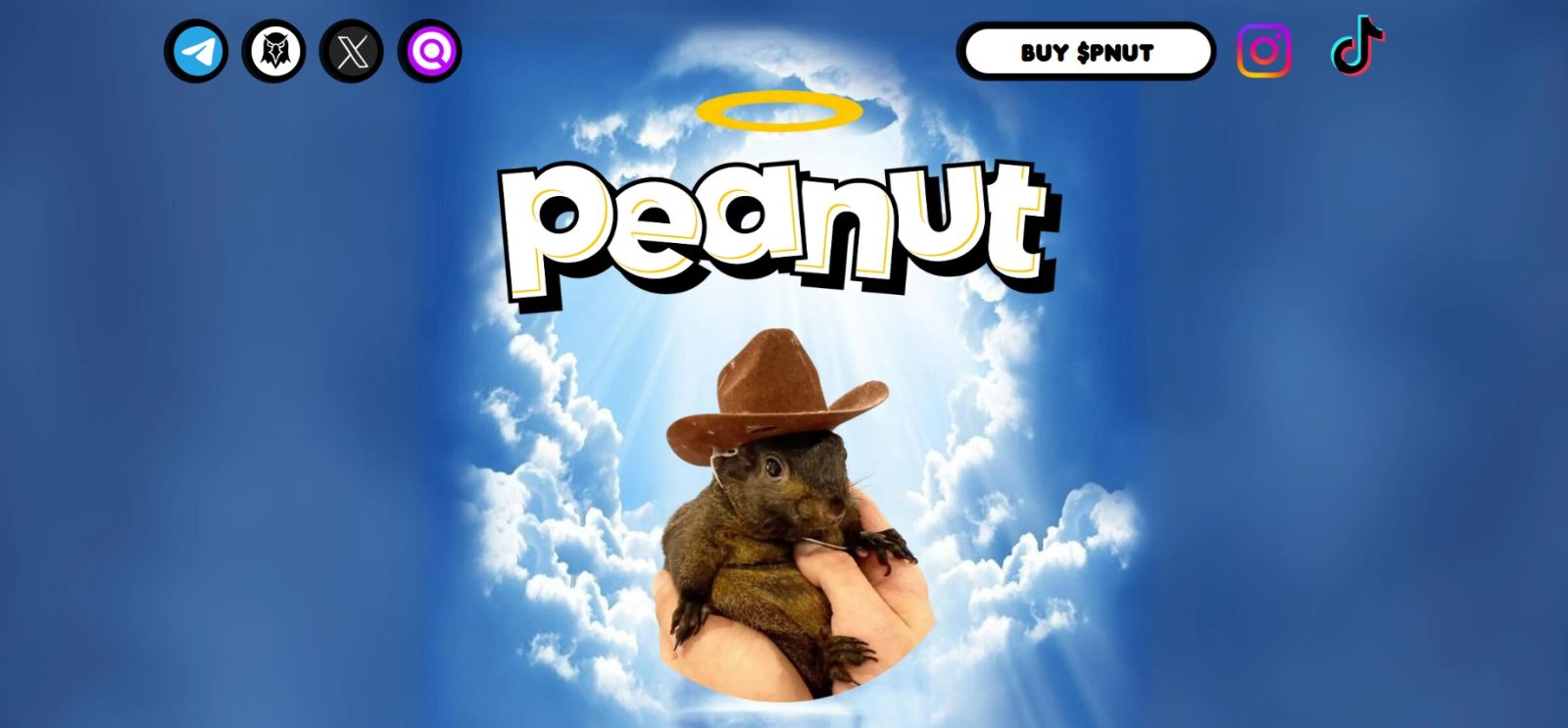 Comprar PNUT