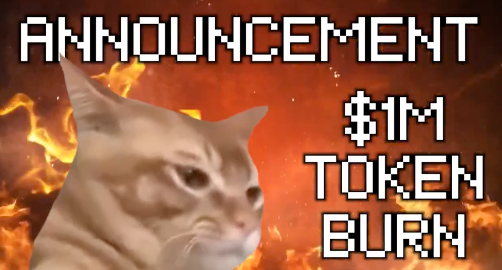 anúncio de queima de tokens do Catslap