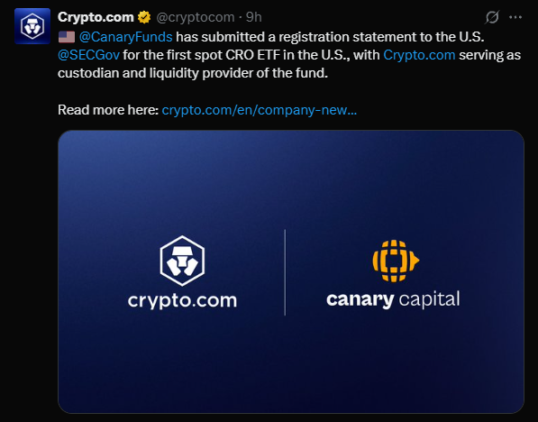 Canary-Cripto