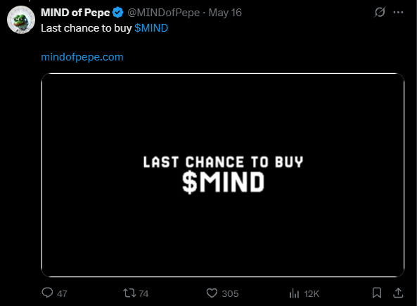Mind of Pepe