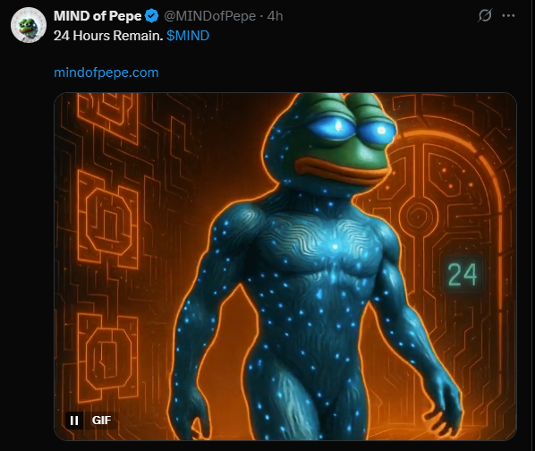 Mind of Pepe