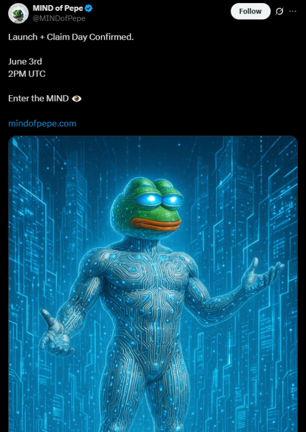 Mind of Pepe - construida no Ethereum