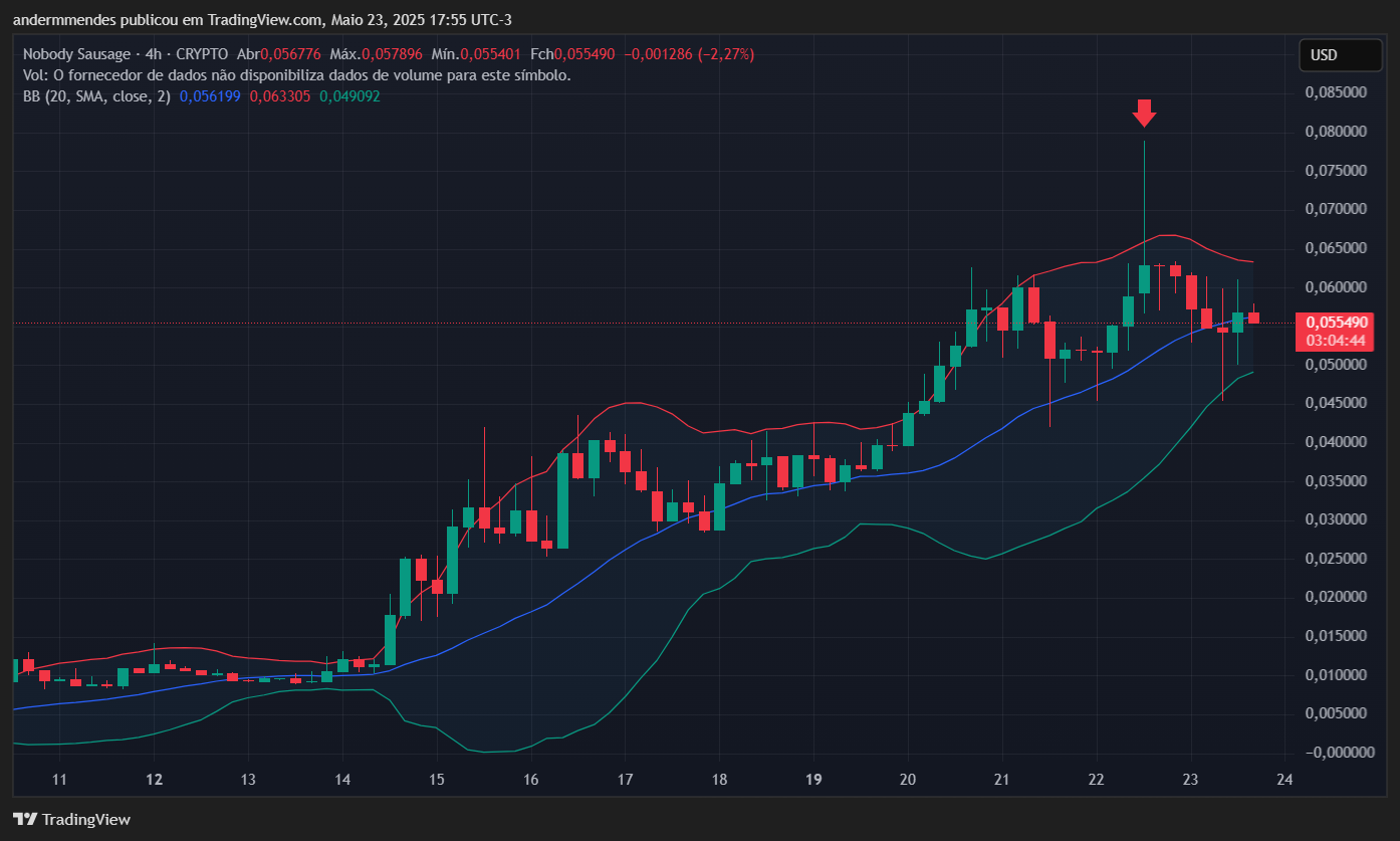 Gráfico da Nobody Sausage (NOBODY) noTradingView