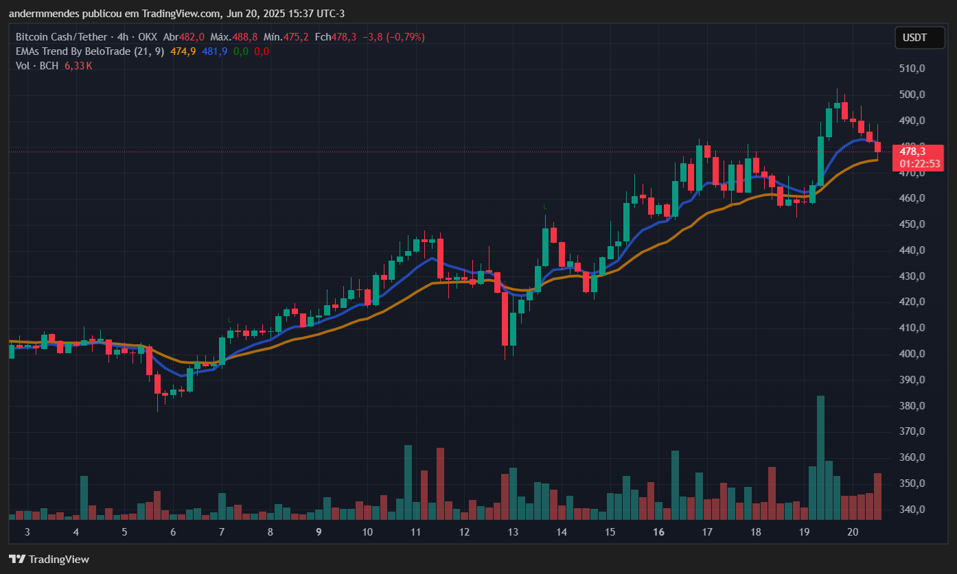 Gráfico do Bitcoin Cash (BCH) no TradingView