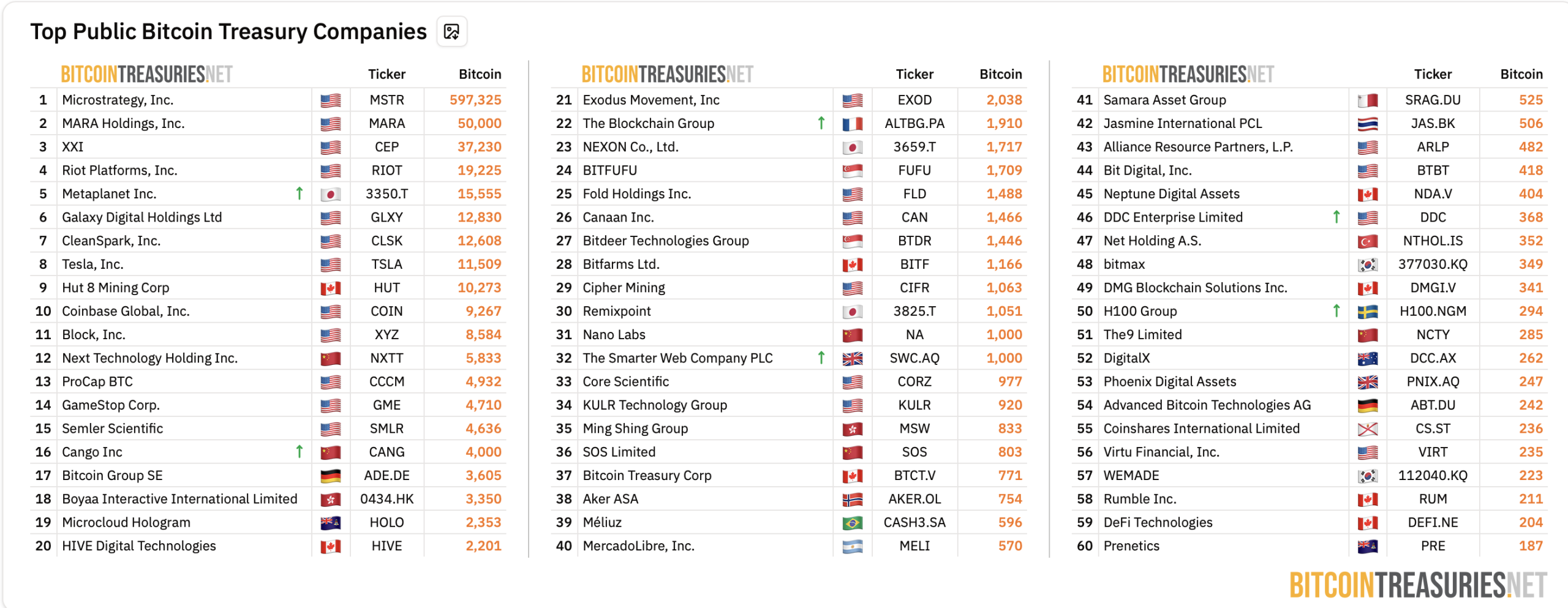 Bitcoin Treasury Companies.