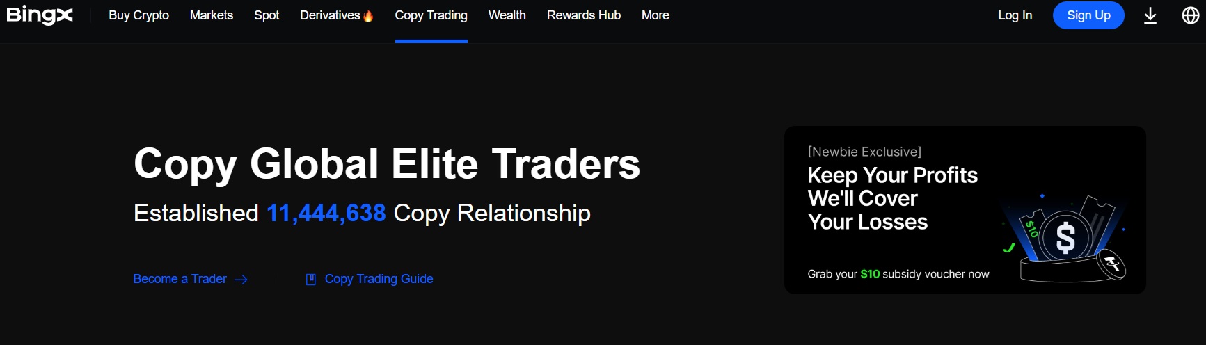 copy trading bingx