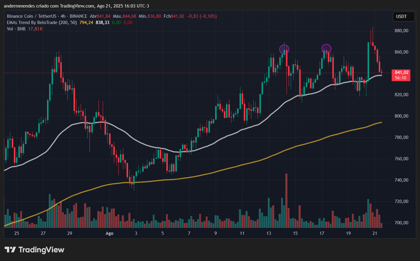 Gráfico do BNB no TradingView