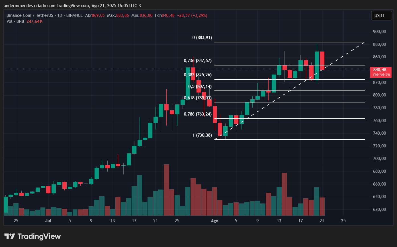 Gráfico do BNB no TradingView