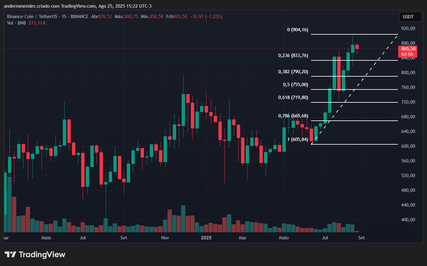 Gráfico do BNB no TradingView