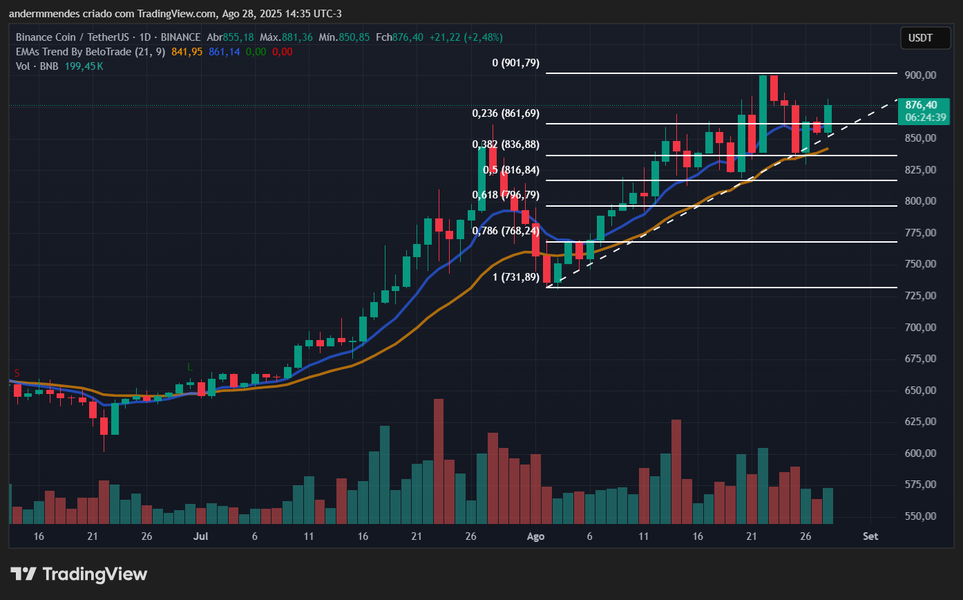 Gráfico do BNB no TradingView