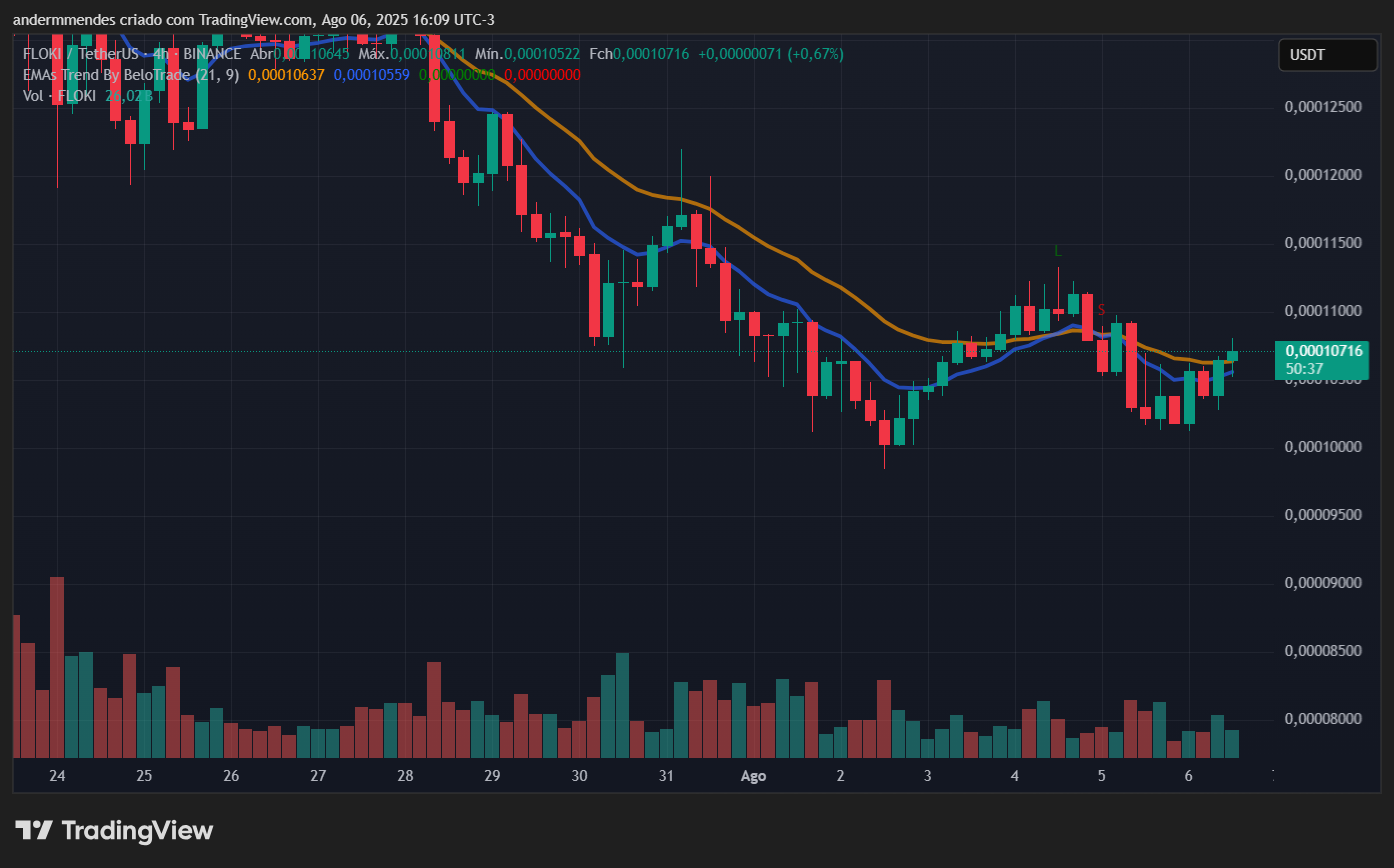 Gráfico da Floki (FLOKI) no TradingView
