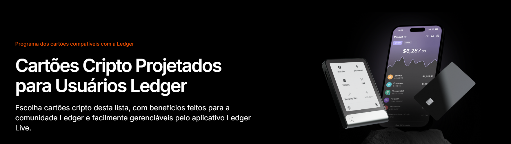 Ledger cartão