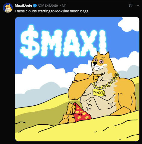 MAXI Doge