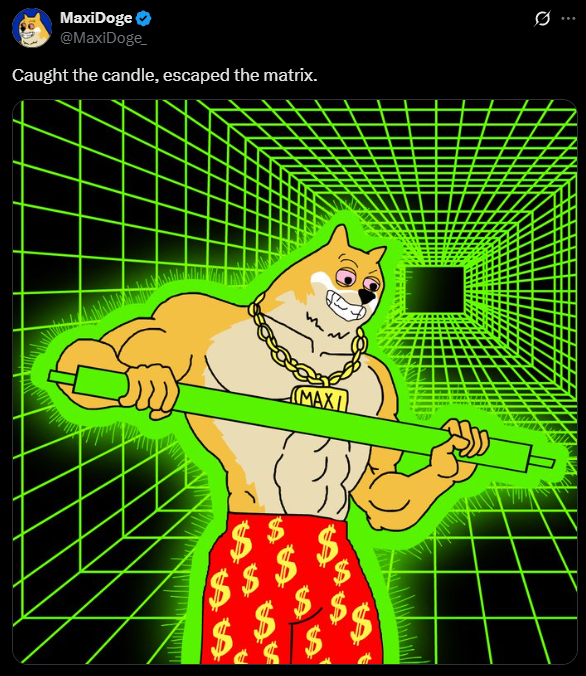 MAXIDOGE