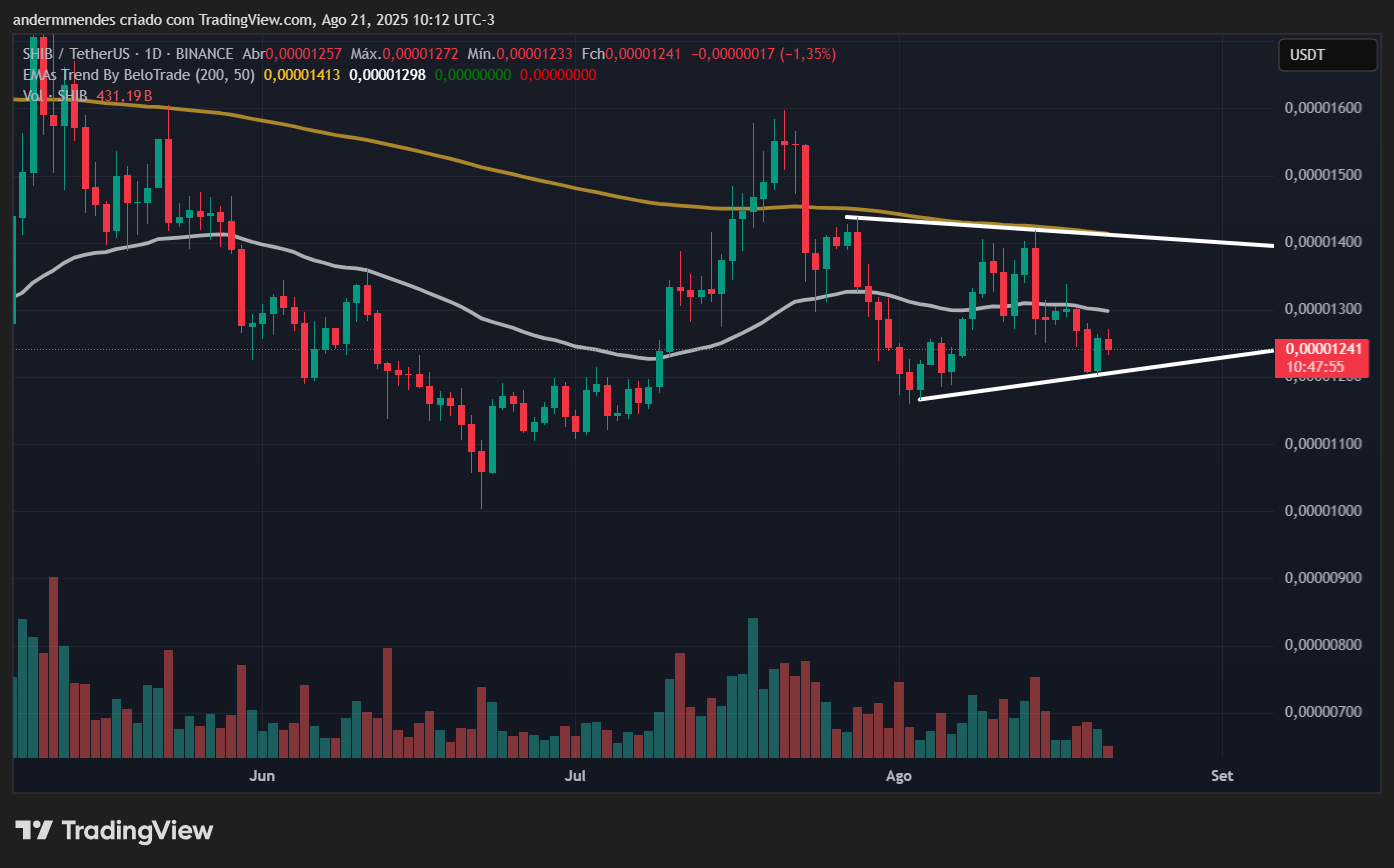 Gráfico da Shiba Inu (SHIB) no TradingView