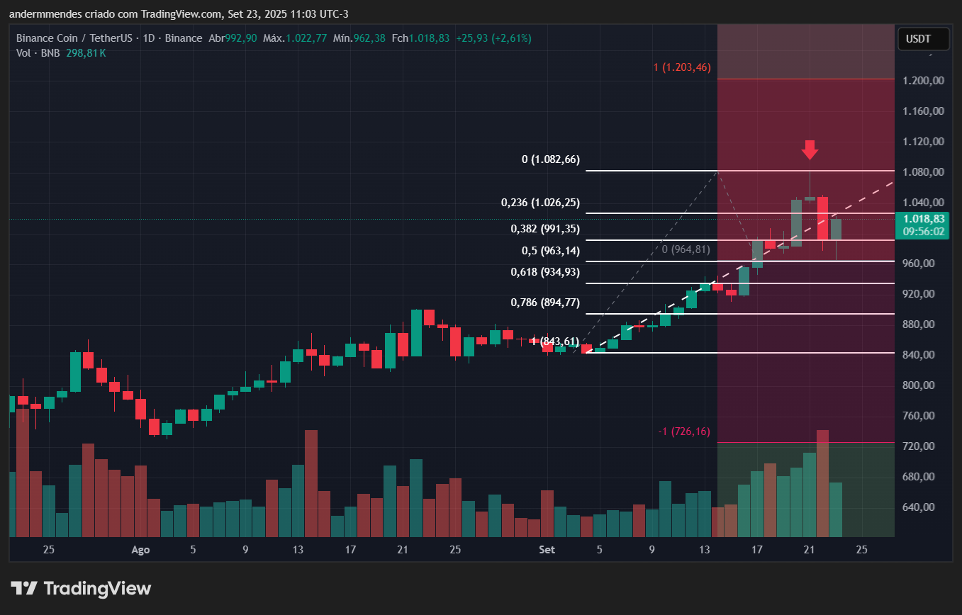 Gráfico do BNB no TradingView