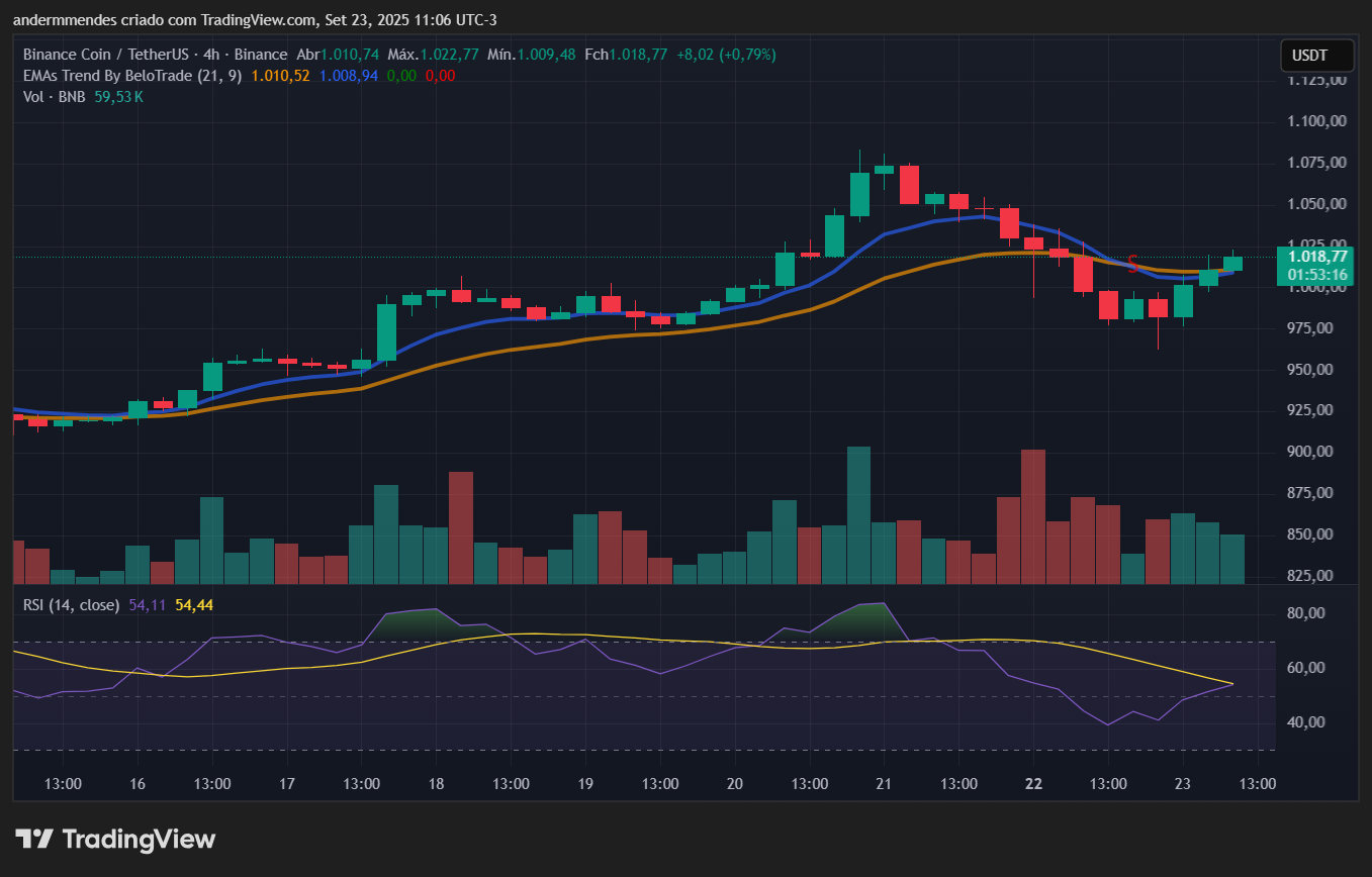 Gráfico do BNB no TradingView