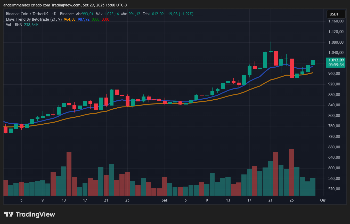 Gráfico do BNB no TradingView