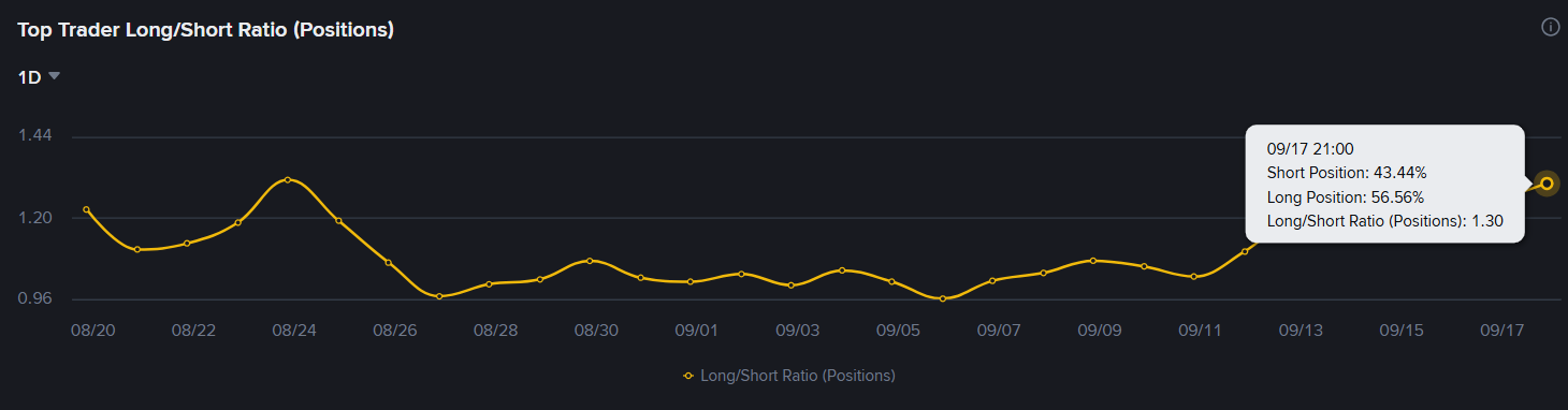 Top Trader Long/Short Ratio (Positions)