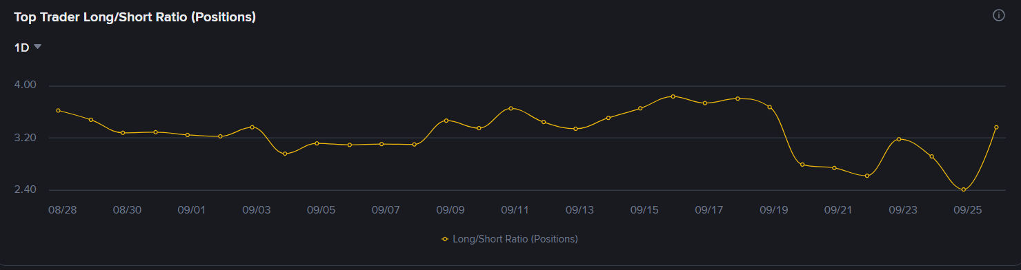 Top Trader Long/Short Ratio (Positions) na Binance