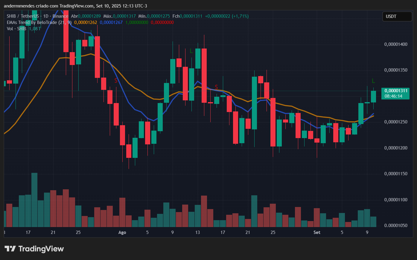 Gráfico da Shiba Inu (SHIB) no TradingView
