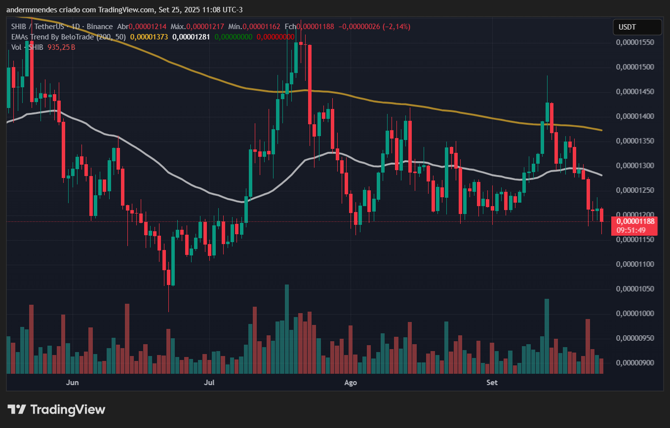 Gráfico da Shiba Inu (SHIB) no TradingView
